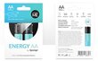 Sponge Energy AA цена и информация | Baterijas | 220.lv