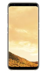 Samsung EF-QG955CFE Oriģināls Īpaši plāns aizmugures maks-apvalks G955 Galaxy S8 Plus / S8+ Caurspīdīgs/Zeltains цена и информация | Чехлы для телефонов | 220.lv