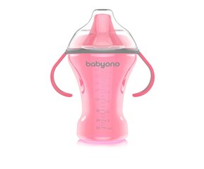 Детская бутылочка BabyOno Natural Nursing, 260 мл, 1457, розовый цена и информация | Бутылочки и аксессуары | 220.lv