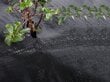 Agro-plēve pret nezālēm Brad 1,1 x100 m rullis, 70 g / m2 цена и информация | Dārza instrumenti | 220.lv