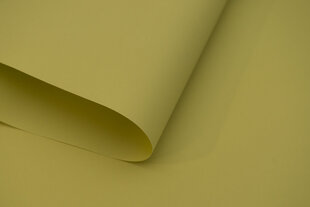 Sienas rullo žalūzija ar audumu Dekor 190x170 cm, d-18 smiltis cena un informācija | Aizkaru stangas, karnīzes | 220.lv