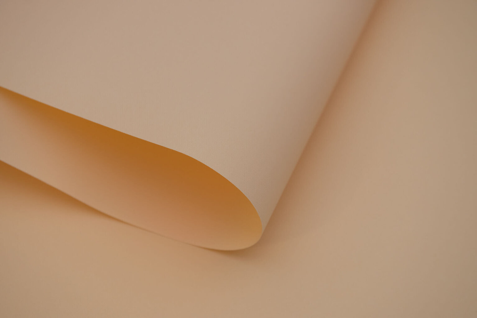 Sienas rullo žalūzija ar audumu Dekor 210x170 cm, d-12 zaļa cena un informācija | Rullo žalūzijas | 220.lv