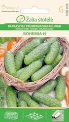 Огурцы обыкновенные Bohemia H цена и информация | Семена овощей, ягод | 220.lv