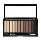 Acu ēnu palete Makeup Revolution London Redemption Palette Iconic Elements 14 g cena un informācija | Acu ēnas, skropstu tušas, zīmuļi, serumi | 220.lv