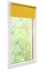 Рулонные шторы Mini I, 100x150 cм цена и информация | Рулонные шторы | 220.lv