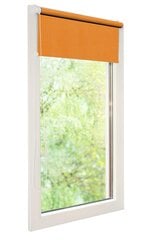 Рулонные шторы Mini I, 100x150 см цена и информация | Рулонные шторы | 220.lv