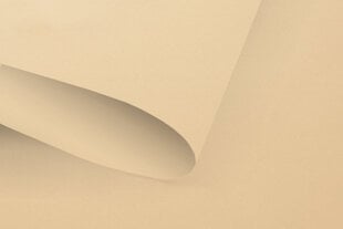 Rullo žalūzijas Klasika Plius , 120x170 cm цена и информация | Рулонные шторы | 220.lv
