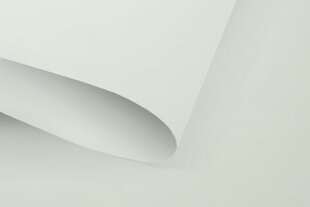 Rullo žalūzijas Klasika Plius , 180x170 cm цена и информация | Рулонные шторы | 220.lv