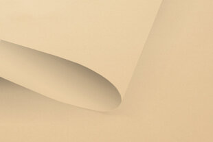 Rullo žalūzijas Klasika Plius , 190x170 cm cena un informācija | Rullo žalūzijas | 220.lv