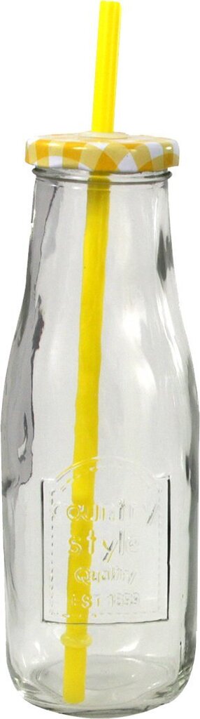 Pudele- glāze ar vāku, 400 ml cena un informācija | Glāzes, krūzes, karafes | 220.lv