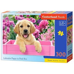 Puzle Labrador Puppy in Pink Box, 300 detaļas cena un informācija | Puzles, 3D puzles | 220.lv