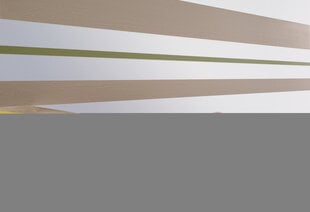 Малярная лента tesa Precision для точных работ 50мx30мм цена и информация | Аксессуары для покраски | 220.lv