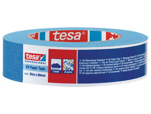 Защитная клейкая лента Tesa для наружного применения, 50мx30мм цена и информация | Инструменты для покраски | 220.lv