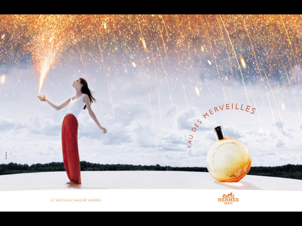 Hermes Eau des Merveilles EDT 50ml cena un informācija | Sieviešu smaržas | 220.lv