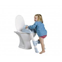 Tualetes sēdeklis ar pakāpienu Thermobaby Kiddyloo, Fleur bleue cena un informācija | Bērnu podiņi | 220.lv