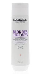 Goldwell Dualsenses Blondes & HighLights šampūns 250ml cena un informācija | Šampūni | 220.lv