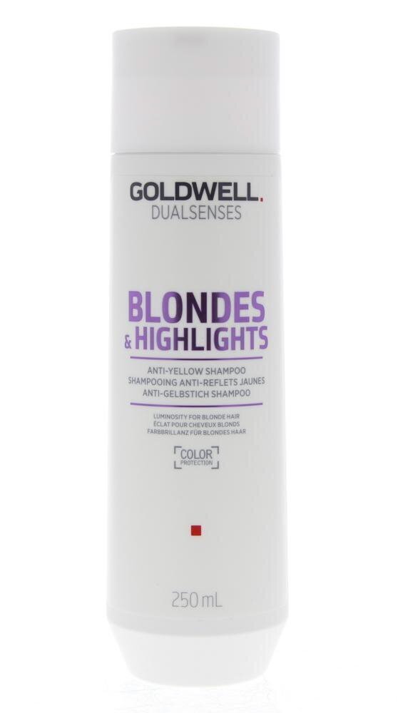 Goldwell Dualsenses Blondes & HighLights šampūns 250ml цена и информация | Šampūni | 220.lv