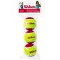 Tenisa bumbas Wilson Starter easy balls 3-p цена и информация | Āra tenisa preces | 220.lv