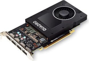 PNY Quadro P2000 5GB GDDR5 PCIE VCQP2000-PB цена и информация | Видеокарты (GPU) | 220.lv