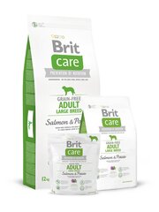 Brit Care Senior Light Salmon & Potato полноценный корм для собак 3кг цена и информация | Сухой корм для собак | 220.lv