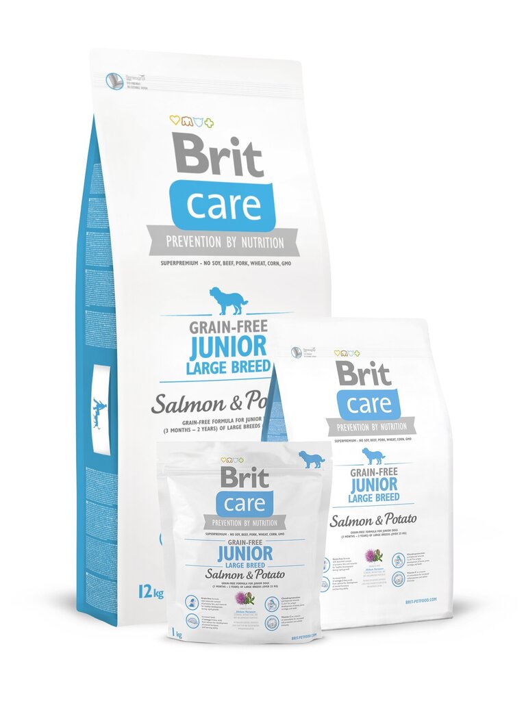 Brit Care Junior Large Salmon&Potato 12kg Suņiem цена и информация | Sausā barība suņiem | 220.lv