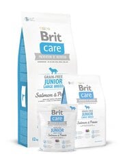 Brit Care Junior Large Breed Salmon & Potato полноценный корм для собак 3кг цена и информация | Сухой корм для собак | 220.lv