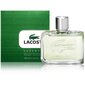 Tualetes ūdens Lacoste Essential EDT, 125 ml цена и информация | Vīriešu smaržas | 220.lv