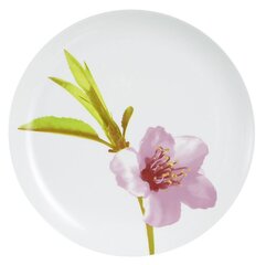 Тарелка Water Colour, 25 см цена и информация | Посуда, тарелки, обеденные сервизы | 220.lv