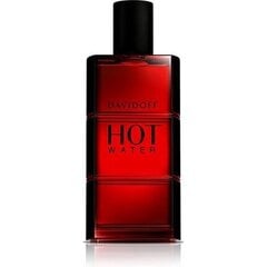 Мужская парфюмерия Davidoff Hot Water EDT (110 ml) цена и информация | Davidoff Духи, косметика | 220.lv