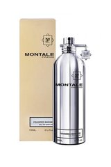 Parfimērijas ūdens Montale Paris Fougere Marines EDP sievietēm/vīriešiem 100 ml cena un informācija | Sieviešu smaržas | 220.lv