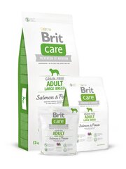 Brit Care Adult Large Salmon&Potato 12kg Suņiem cena un informācija | Sausā barība suņiem | 220.lv