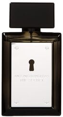Tualetes ūdens Antonio Banderas The Secret EDT vīriešiem, 50 ml cena un informācija | Antonio Banderas Smaržas, kosmētika | 220.lv