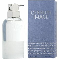 Nino Cerruti Image EDT vīriešiem 100 ml cena un informācija | Vīriešu smaržas | 220.lv