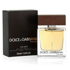 Мужская парфюмерия The One Dolce & Gabbana EDT, 30 мл цена и информация | Мужские духи | 220.lv