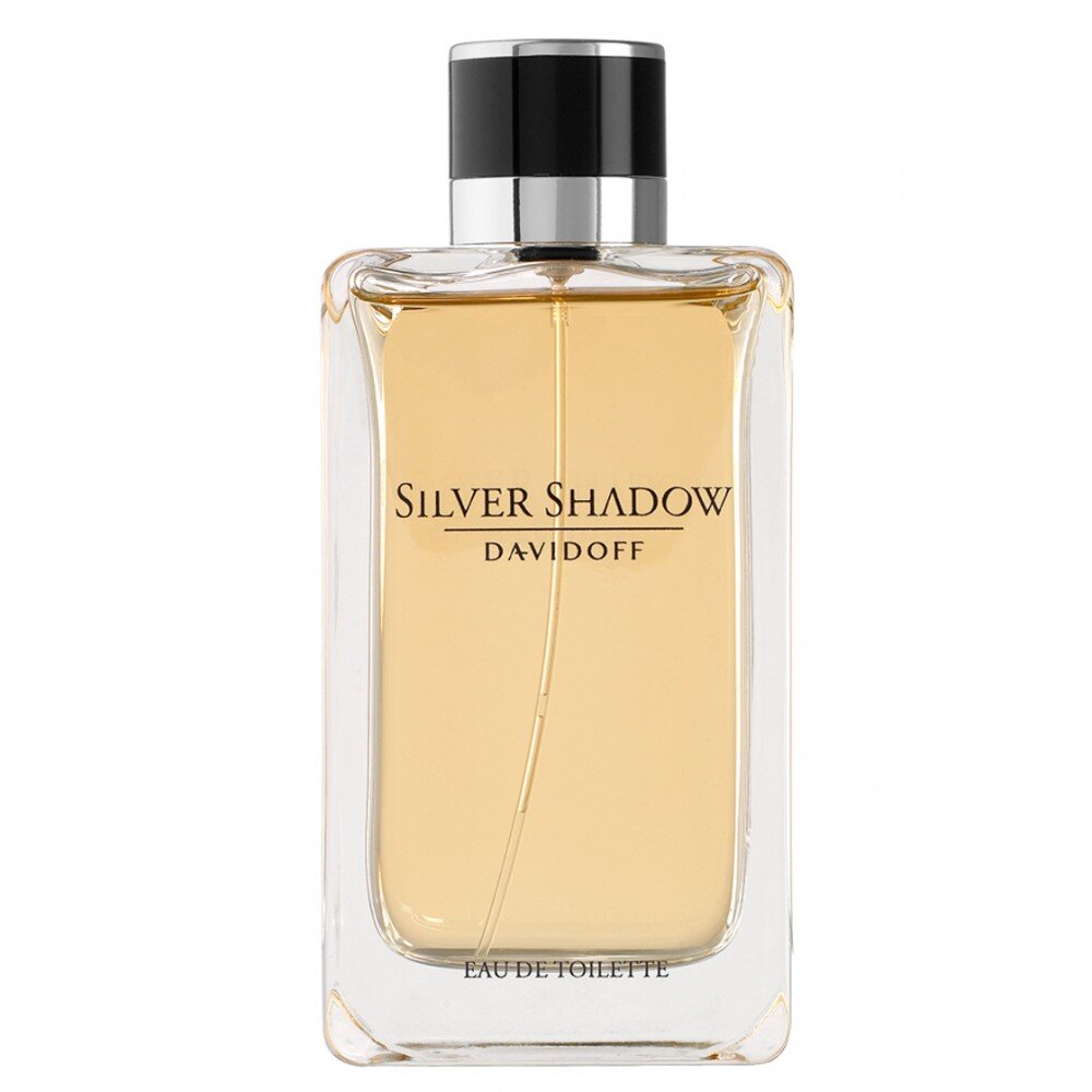 Davidoff Silver Shadow EDT vīriešiem 100 ml cena un informācija | Vīriešu smaržas | 220.lv