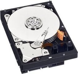 Western Digital WD Blue 500GB (WD5000AZLX) cena un informācija | Iekšējie cietie diski (HDD, SSD, Hybrid) | 220.lv