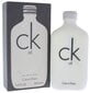 Tualetes ūdens Calvin Klein CK All (100 ml) цена и информация | Sieviešu smaržas | 220.lv