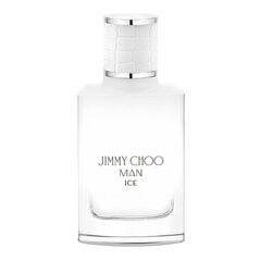 Jimmy Choo Man Ice edt 30 ml цена и информация | Мужские духи | 220.lv