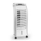 Gaisa dzesētājs TROTEC PAE 25 cena un informācija | Gaisa kondicionieri, siltumsūkņi, rekuperatori | 220.lv