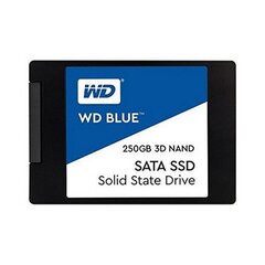 WD 250GB SATA III Blue цена и информация | Внутренние жёсткие диски (HDD, SSD, Hybrid) | 220.lv