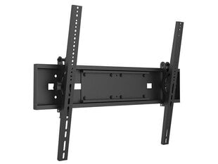 Multibrackets M Universal Wallmount 63-110” цена и информация | Кронштейны и крепления для телевизоров | 220.lv