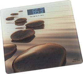 Gallet Personal scale Pierres beiges GAL цена и информация | Весы (бытовые) | 220.lv