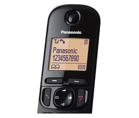 Panasonic KX-TGC210FXB Cordless phone, Black цена и информация | Стационарные телефоны | 220.lv