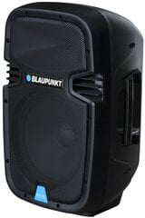 Blaupunkt PA10 цена и информация | Аудиоколонки | 220.lv