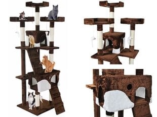 Кошачий домик, точилка для когтей Kitty Brown, 170 см, коричневая цена и информация | Когтеточки | 220.lv
