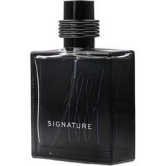 Vīriešu smarža,Nino Cerruti Cerruti 1881 Signature EDP, 100 ml cena un informācija | Cerruti Smaržas, kosmētika | 220.lv