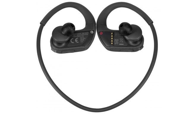 MP3 atskaņotājs Walkman®, Sony цена и информация | MP3 atskaņotāji | 220.lv