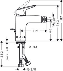 Bidē jaucējkrāns Hansgrohe Logis 100, 71200000 цена и информация | Смесители | 220.lv