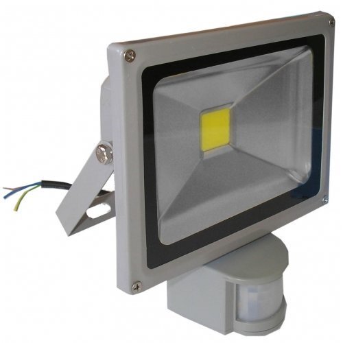 LED āra apgaismojums F1202 20W, ar kustības sensoru cena un informācija | Āra apgaismojums | 220.lv
