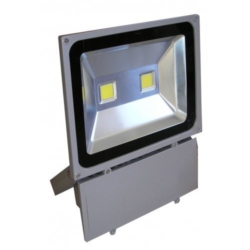 LED āra apgaismojums F1201 80W cena un informācija | Āra apgaismojums | 220.lv